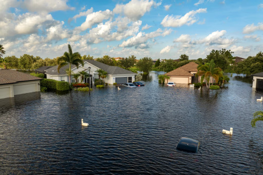 Natural disasters
